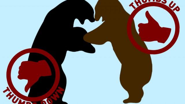 Union, Bears, And Celebrity Divorces