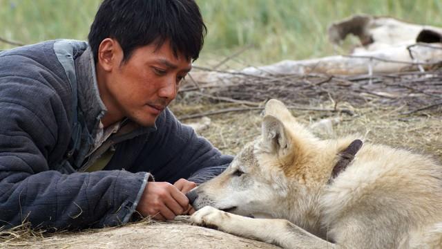 Man And Beast Collide In 'Wolf Totem'