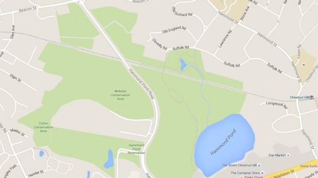 LTE: Boston College's Purchase Of Land By Hammond Pond 