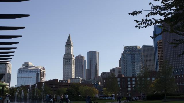 A Future Taxidermist Says Goodbye To Boston