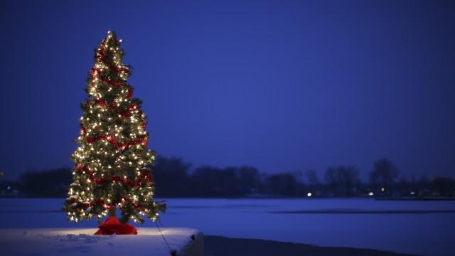 TU/TD: Christmas Trees and Cathartic Lint Screens