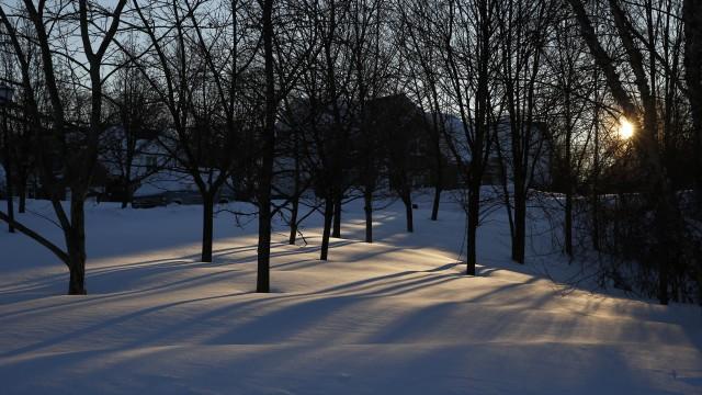 The sun rises through the trees as snow blankets the ground Sunday, Jan. 24, 2016 in Fort Washington, Md. Millions of Americans were preparing to dig themselves out Sunday after a mammoth blizzard with hurricane-force winds and record-setting snowfall brought much of the East Coast to an icy standstill. (AP Photo/Alex Brandon)