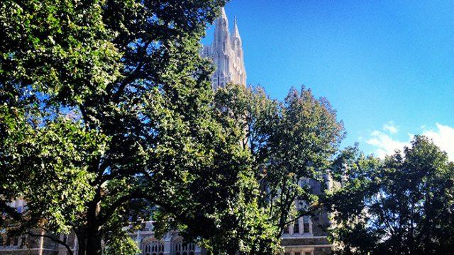 gasson