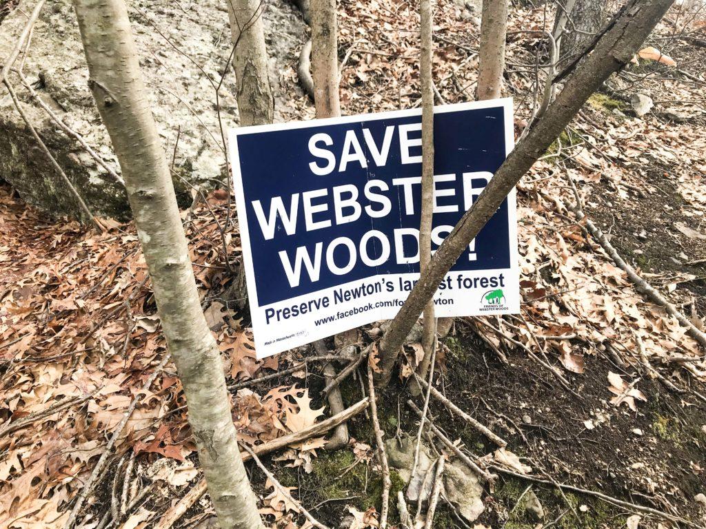 Newton Mayor Seeks to Reclaim Webster Woods Via Eminent Domain