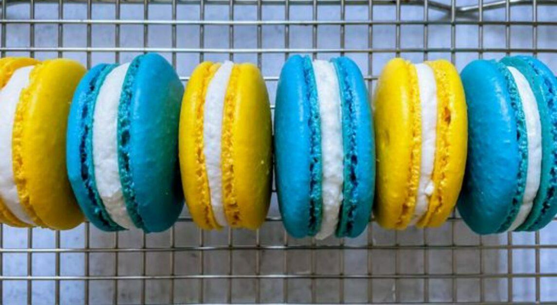 Newton Resident Fundraises for Ukraine Through Her Homemade Treats