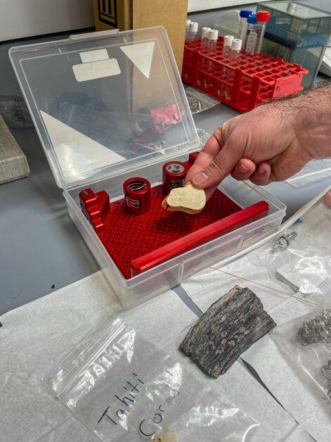 “My interest spans the entire range of Earth history, nutrient cycling, and exploring the ocean and how it affects the climate system,” Wang said. 