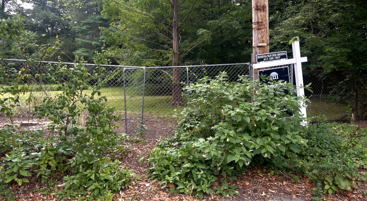 Residents say the adjacent Chapin Road has been plagued with flooding problems for decades.