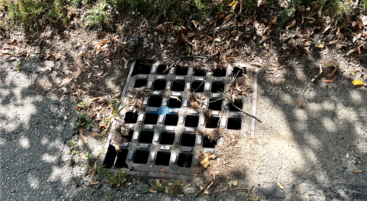 The developer’s petition seeks to install a storm line running from Chapin Road to her property at the end of Homer Street.