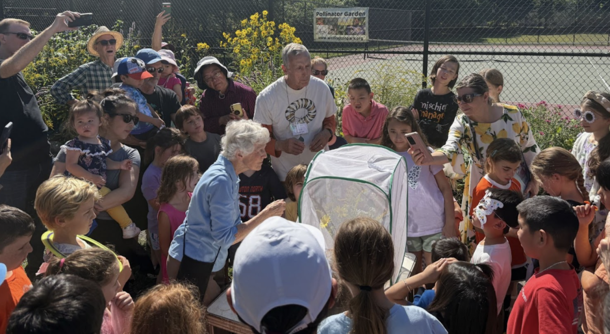 Susan Denison and Ted Kuklinski released this year’s butterfly, named Chrys, at the festival. (Matthew Antonecchia / Heights Staff)
