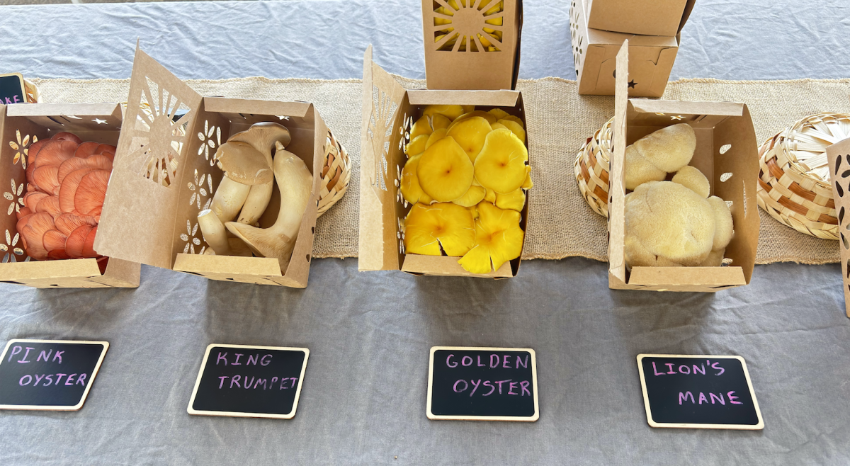 The market is not only inclusive of shoppers of different ages, but also those of differing financial circumstances. (Sophia Gallon / Heights Staff)