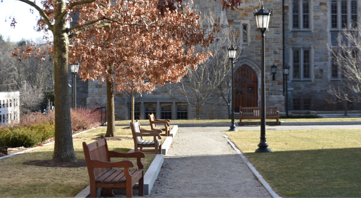 Data shows BC faculty average skews younger, larger, and more diverse. 