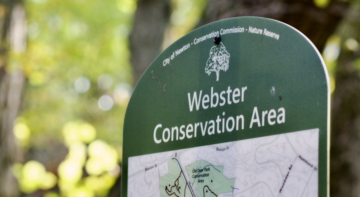 The City of Newton seized the woods from BC in 2019 through eminent domain. (Genevieve Morrison / Heights Editor)