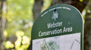 The City of Newton seized the woods from BC in 2019 through eminent domain. (Genevieve Morrison / Heights Editor)