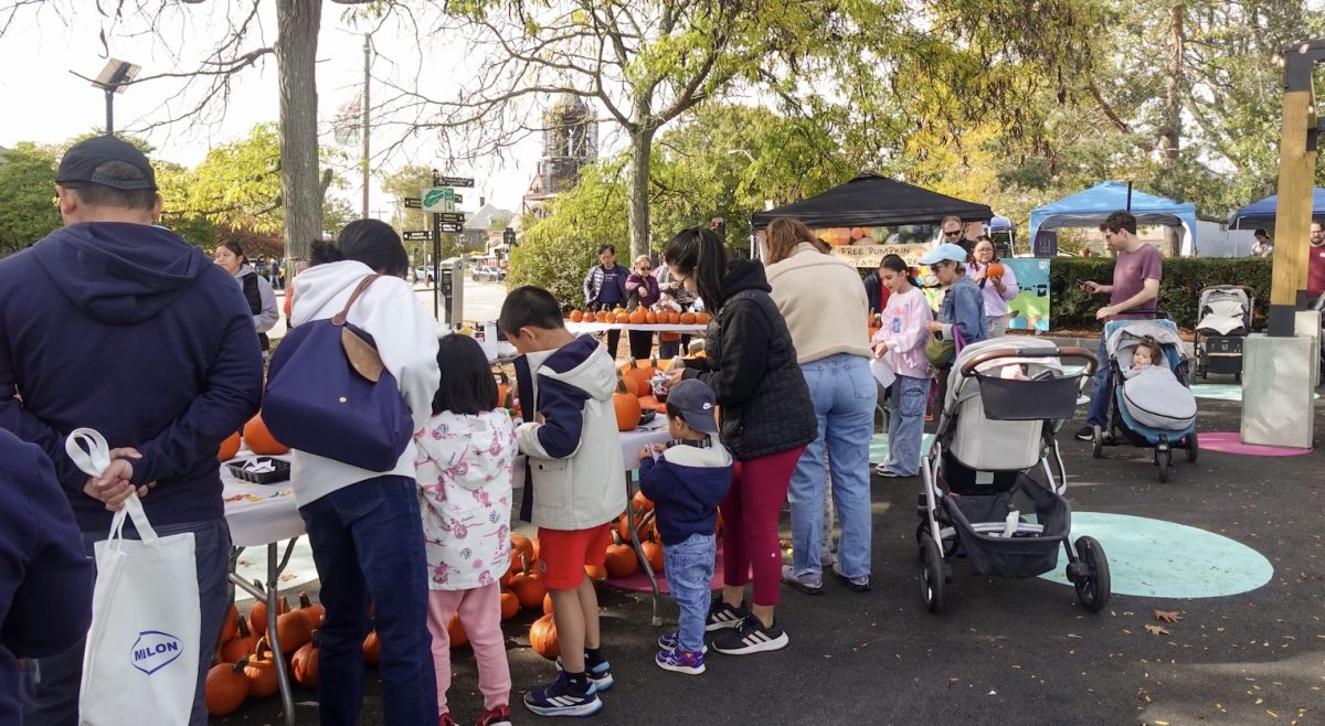 From carnival rides to craft booths, the fair has something for everyone. (Sophia Chamberlin / Heights Staff)